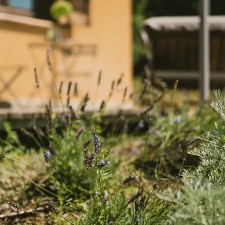 Casa Kiko 3* 페세토