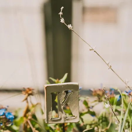 Casa Kiko Bed & Breakfast Pecetto