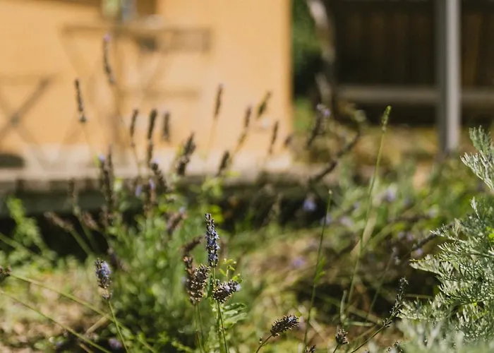 Casa Kiko 3* Pecetto